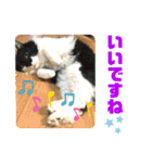 こもじろう♪4（個別スタンプ：19）