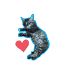 猫 stamp（個別スタンプ：10）