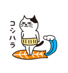 レッツゴーにゃーフィン！（個別スタンプ：8）