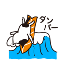 レッツゴーにゃーフィン！（個別スタンプ：14）
