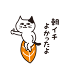 レッツゴーにゃーフィン！（個別スタンプ：24）