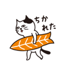 レッツゴーにゃーフィン！（個別スタンプ：25）