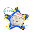 ハムスターのワッフルでーしゅ‼️（個別スタンプ：13）