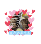 ハムスターのワッフルでーしゅ‼️（個別スタンプ：20）