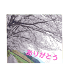 風景と言葉（個別スタンプ：6）