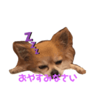 小町①（個別スタンプ：6）