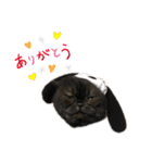 リリィとふぐり2（個別スタンプ：3）