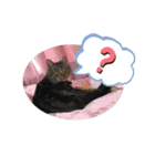 リリィとふぐり2（個別スタンプ：15）