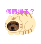 我が家のワン子達（個別スタンプ：22）