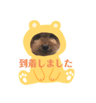 我が家のワン子達（個別スタンプ：24）
