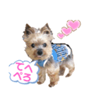 EVERYぽろん2（個別スタンプ：5）