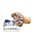 EVERYぽろん2（個別スタンプ：6）