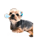 EVERYぽろん2（個別スタンプ：7）