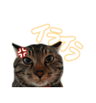 ににたんスタンプ。（個別スタンプ：8）
