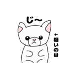 白い子猫みくるの毎日たのしいスタンプ（個別スタンプ：8）