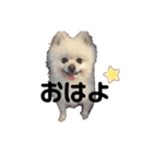 めるくらぶ（個別スタンプ：5）