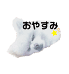めるくらぶ（個別スタンプ：6）