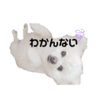 めるくらぶ（個別スタンプ：7）