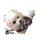 めるくらぶ（個別スタンプ：10）