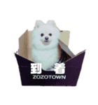 めるくらぶ（個別スタンプ：11）