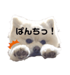 めるくらぶ（個別スタンプ：13）