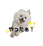 めるくらぶ（個別スタンプ：14）