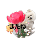 めるくらぶ（個別スタンプ：16）
