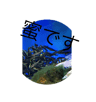 ゆるい生物スタンプ2〜（個別スタンプ：6）