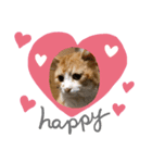 保護猫3匹の気ままな暮らし（個別スタンプ：3）