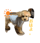 モカリングス 日常（個別スタンプ：1）