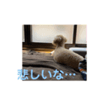 モカリングス 日常（個別スタンプ：13）