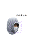 犬と呼ばれる人のスタンプ4（個別スタンプ：7）