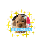 晴明（個別スタンプ：8）