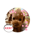 晴明（個別スタンプ：25）