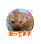 晴明（個別スタンプ：28）