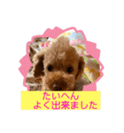 晴明（個別スタンプ：30）