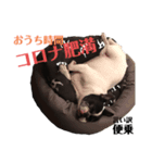 プピロコ3（個別スタンプ：3）