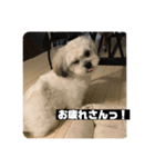 働くポキです！（個別スタンプ：2）