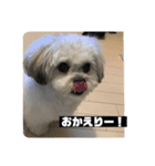 働くポキです！（個別スタンプ：4）