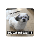 働くポキです！（個別スタンプ：5）