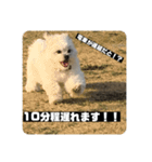 働くポキです！（個別スタンプ：6）