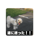 働くポキです！（個別スタンプ：7）