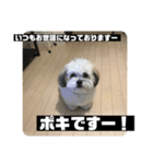 働くポキです！（個別スタンプ：8）