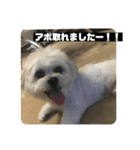 働くポキです！（個別スタンプ：9）