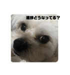 働くポキです！（個別スタンプ：10）