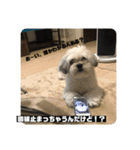 働くポキです！（個別スタンプ：12）