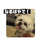 働くポキです！（個別スタンプ：15）