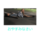すながわ（個別スタンプ：10）