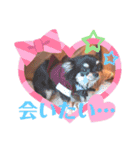 ATHSTAMP⑤（個別スタンプ：2）