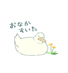 あひるとたんぽぽ（個別スタンプ：7）